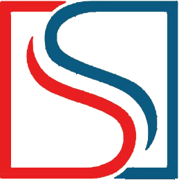 BDMS Logo
